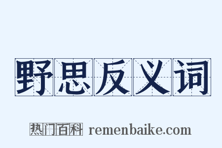 野思反义词是什么意思的图片